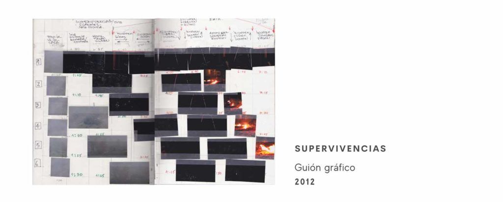 Guion gráfico de la video instalación Supervivencias de la artista Clemencia Echeverri.