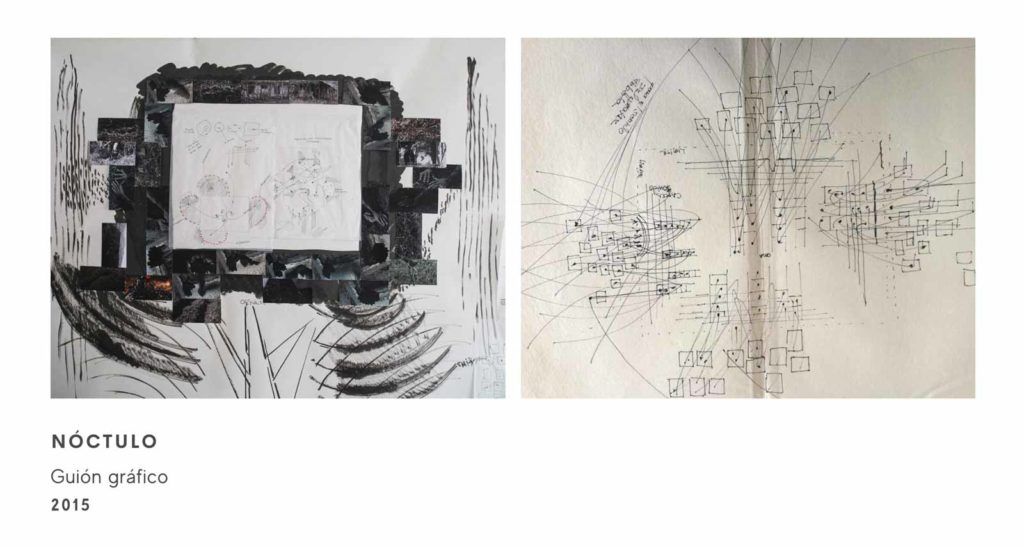 Guion gráfico de la obra Nóctulo de la artista Clemencia Echeverri.